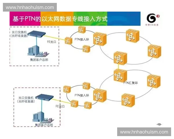 成绩核对流程优化与学业数据准确性提升方案
